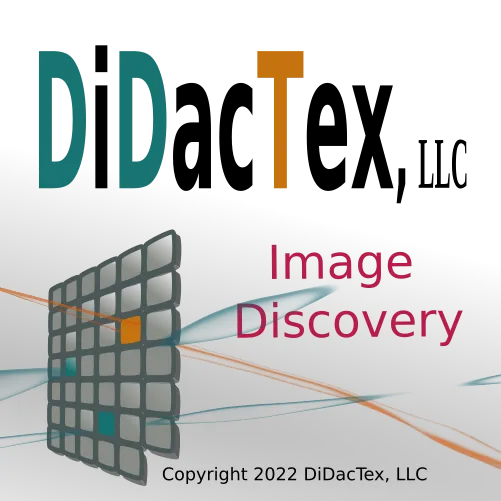 DDT logo